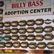 Billy Bass Adoption Center