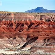 Little Painted Desert County Park, Winslow, AZ