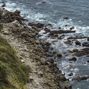 John Little State Natural Reserve