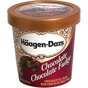 Häagen-Dazs Chocolate Fudge Ice Cream