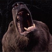 Bear (Grizzly, 1976)