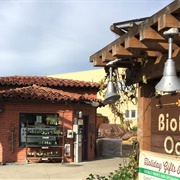 Biofuel Oasis