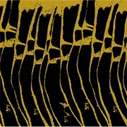 Charalambides - Joy Shapes