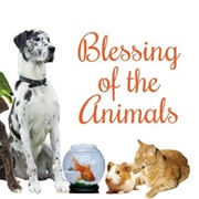 Get Your Pet Blessed