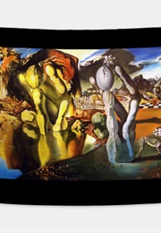 Metamorphosis of Narcissus