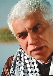 The New Environmentalists From Chicago to the Karoo (2013)