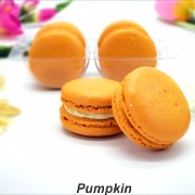 Macaron Centrale Pumpkin Macaron