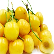 Yellow Cherries