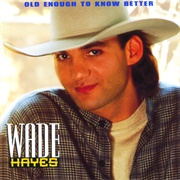 What I Meant to Say - Wade Hayes