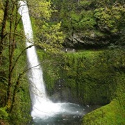 Tunnel Falls, Columbia River Gorge