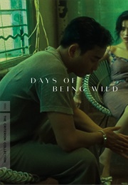 Days of Being Wild (1990)