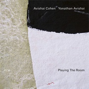 Playing the Room - Avishai Cohen