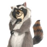 Norvirus Raccoon