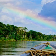 River Napo, Ecuador/ Peru