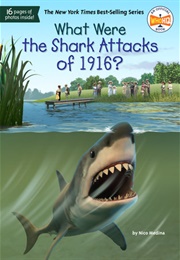 What Were the Shark Attacks of 1916? (Nico Medina)