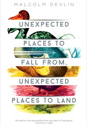 Unexpected Places to Fall From, Unexpected Places to Land (Malcolm Devlin)