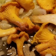 Fried Chanterelles With Onions