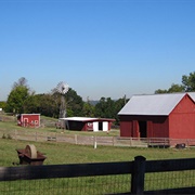 Oxon Cove Park & Oxon Hill Farm