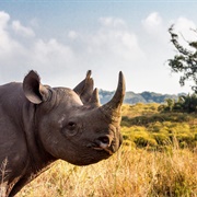 Hluhluwe-Imfolozi Game Reserve