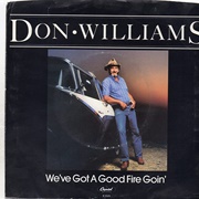 We've Got a Good Fire Goin' - Don Williams