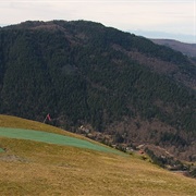 Squak Mountain State Park, Washington