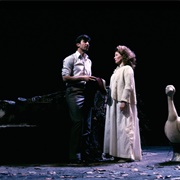 Traveller in the Dark