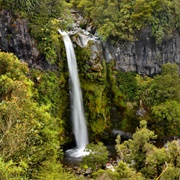Dawson Falls, New Zealand