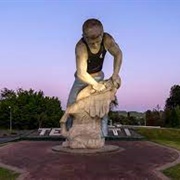 Te Kuiti Big Shearer