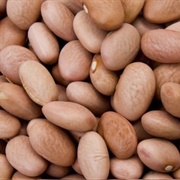 Bolita Bean
