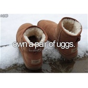 Own a Pair of Uggs