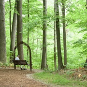 Swan Creek Preserve Metropark