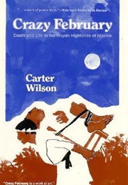Crazy February (Carter Wilson)