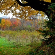 Burton Wetlands State Nature Preserve