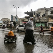 I'm From the Gaza Strip