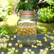 Greengage Gin