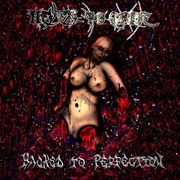 Never to Arise - Hacked to Perfection