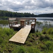 Bowman Lake State Park, New York