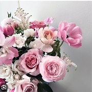 Have a Favorite Flower