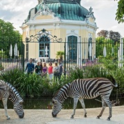 Schönbrunn Zoo, Austria