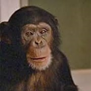 Simon & Simon "Burden of the Beast"