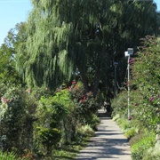 Fenway Victory Gardens