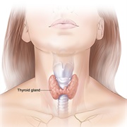 Hyperthyroidism