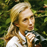Jane Goodall