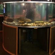 St. Regis Trout Museum