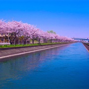 Tone River, Japan