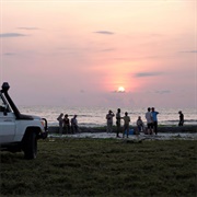 Loango National Park, Gabon