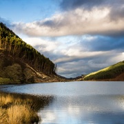 Geirionydd, Llyn
