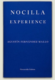 Nocilla Experience (Agustín Fernández Mallo)