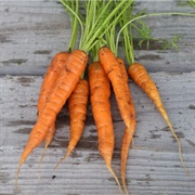 Rothild Carrots