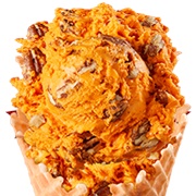 Bruster's Ice Cream Pumpkin Pecan Ice Cream